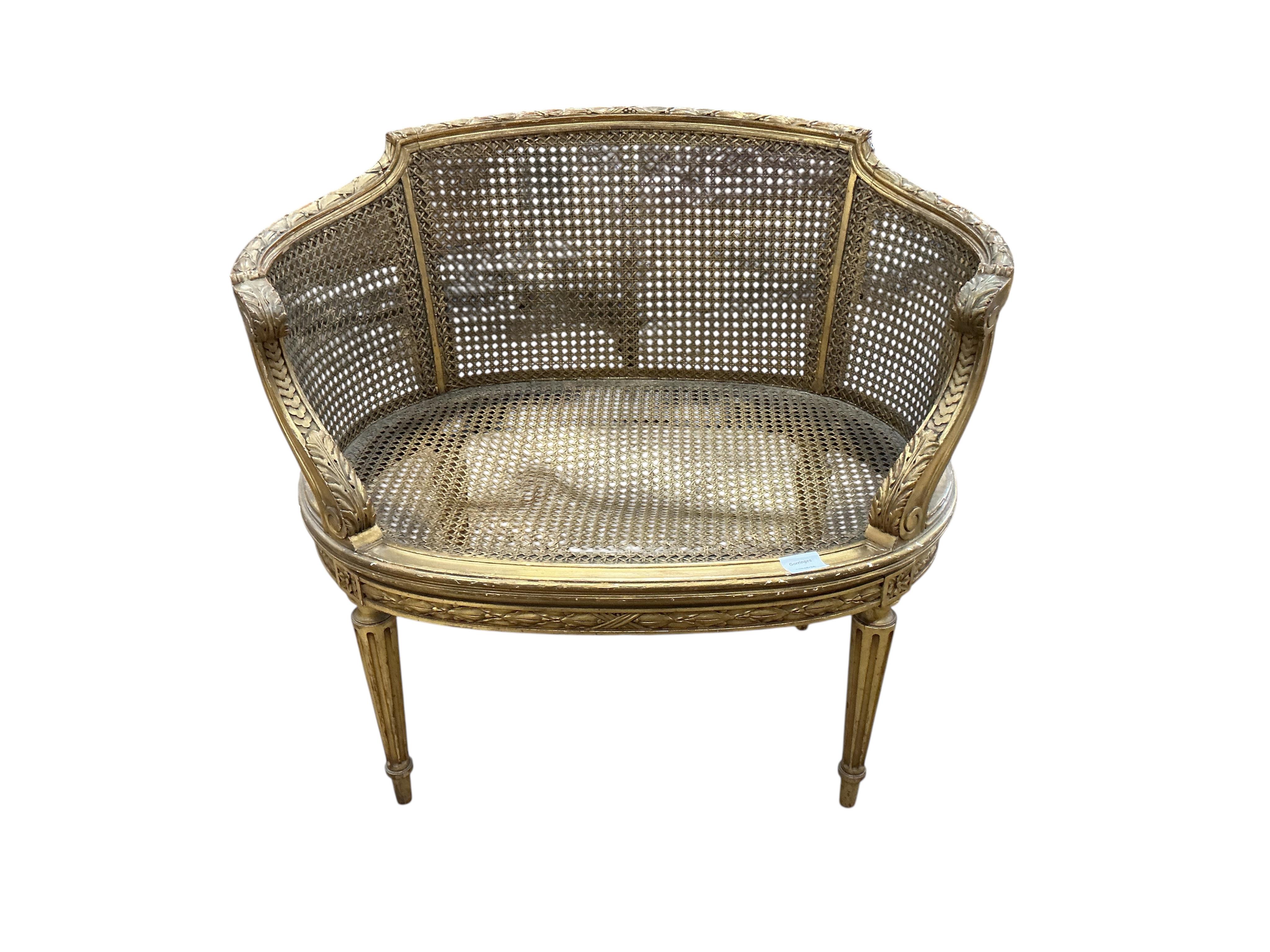 A late 19th century French caned giltwood tub chair, width 77cm, depth 50cm, height 71cm